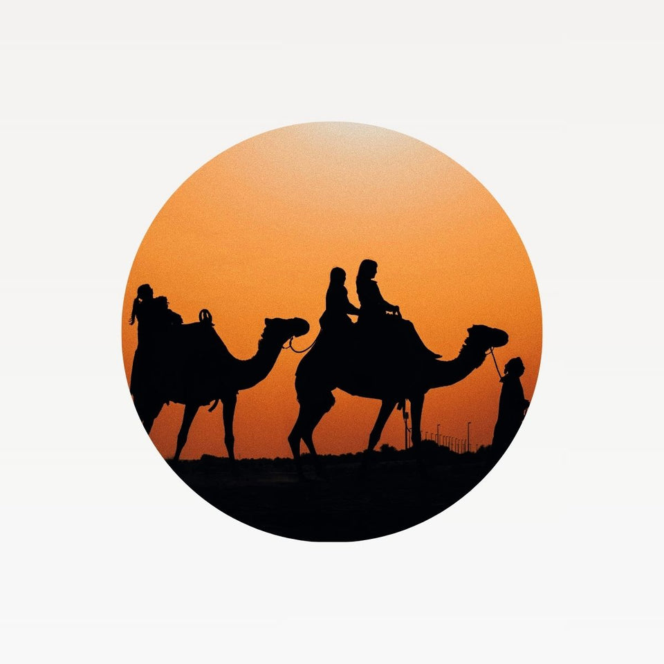 Desert Tours