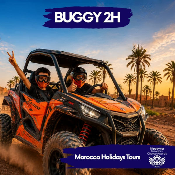 Buggy 2h + transport palmerie Pilote