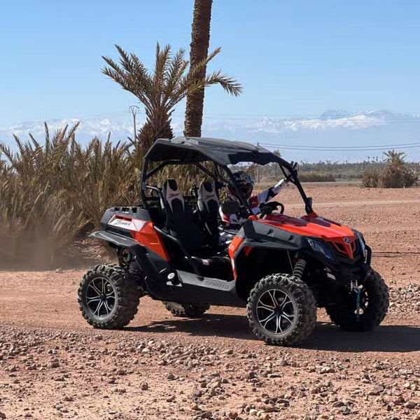 Buggy 2h + transport palmerie Pilote