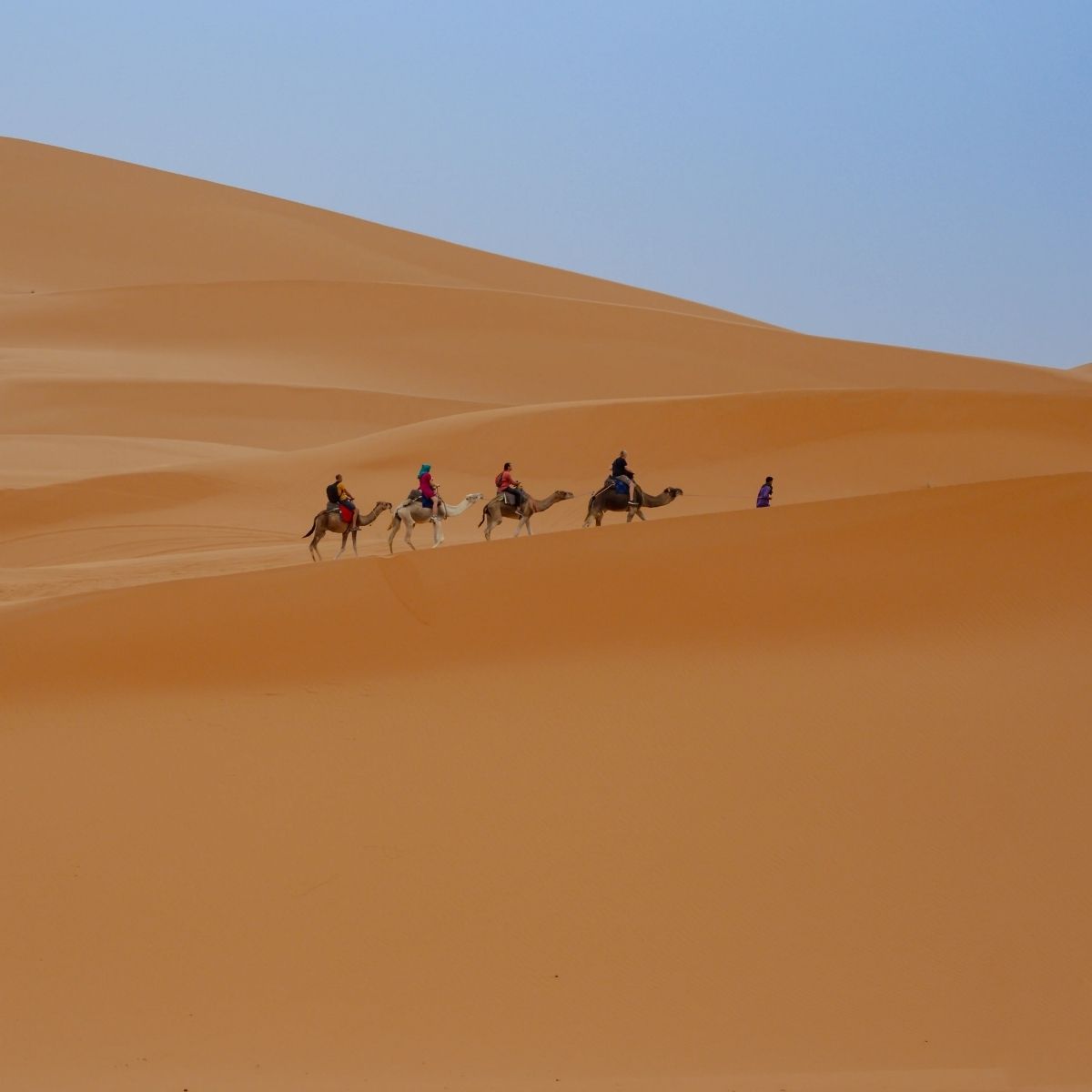 Merzouga Desert Tour (3 days- 2 night )