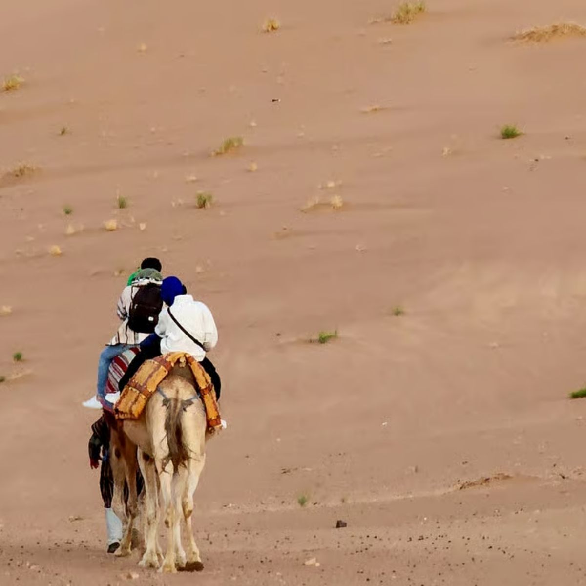 2. Zagora Desert Tour (2 days- 1 night )