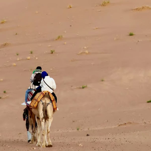 2. Zagora Desert Tour (2 days- 1 night )