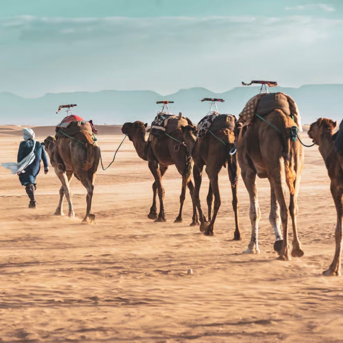 2. Zagora Desert Tour (2 days- 1 night )
