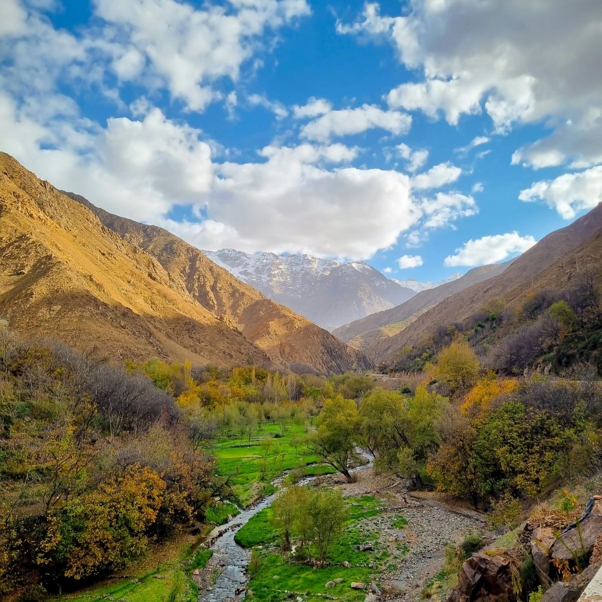 Imlil Day Trip from Marrakech with Guide & Berber Lunch