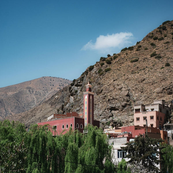 Imlil Day Trip from Marrakech with Guide & Berber Lunch