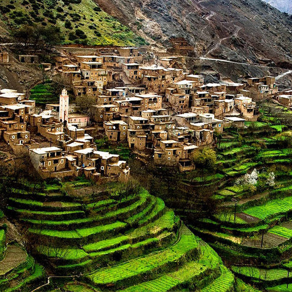 Imlil Day Trip from Marrakech with Guide & Berber Lunch