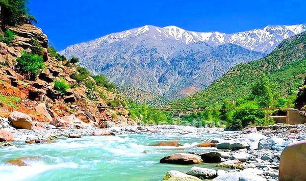 Imlil Day Trip from Marrakech with Guide & Berber Lunch