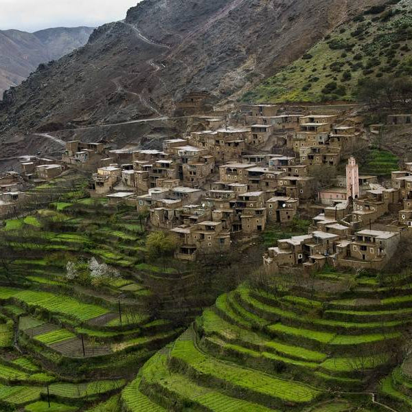 Imlil Day Trip from Marrakech with Guide & Berber Lunch
