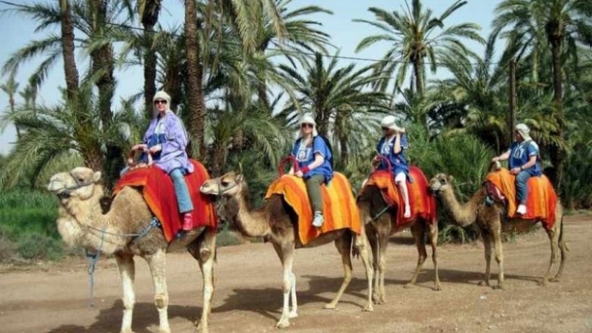 Camel Ride with Morocco Holidays Tours