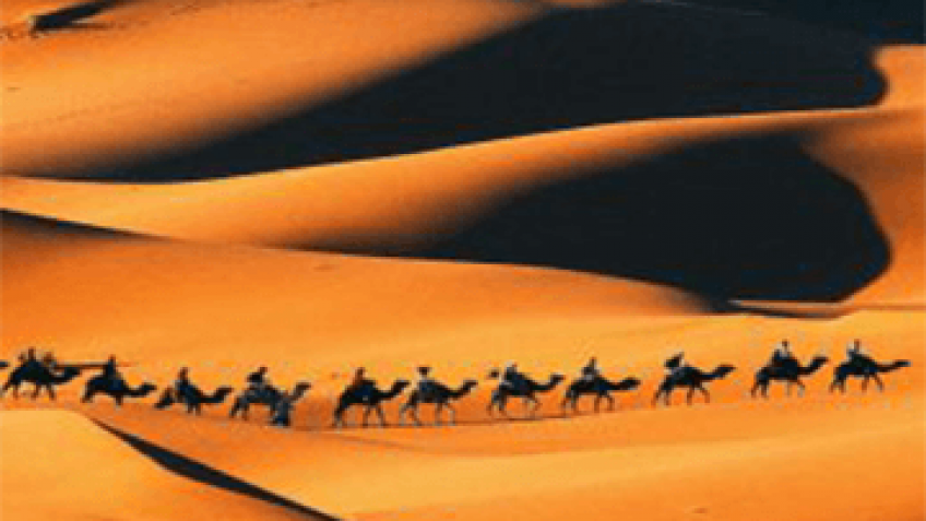 Desert trip to Merzouga