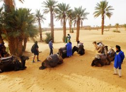 Morocco Desert tours to The South (4 days)